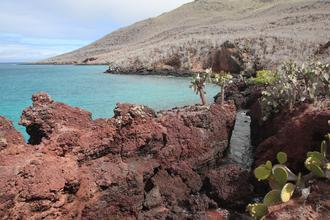 Rabida Shoreline