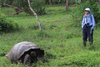 Camilla with Giant Tortoise