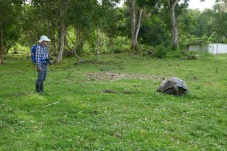 David and Giant Tortoise