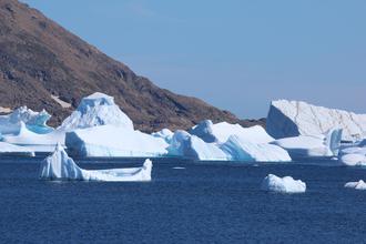 Iceberg colony