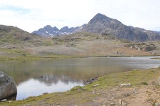 Refelctions in the lake