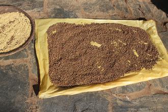 Millet