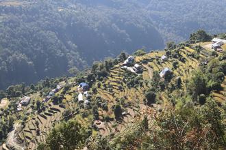 Terrraced hillside