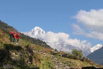 Our porters