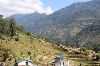 Terraces