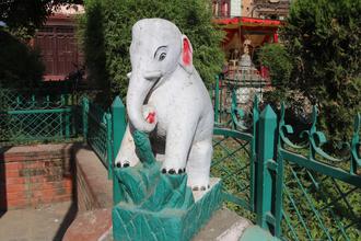 Elephant at Patan