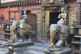 Elephants