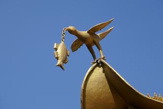 Bird and fish