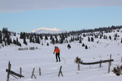 Dieter skiing along the track