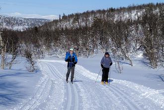 David and Roger