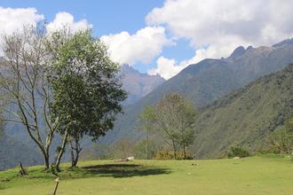 View near the restaurant