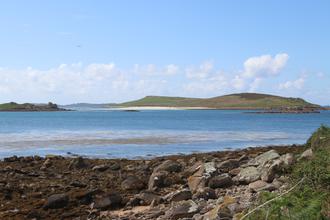 Samson from Bryher