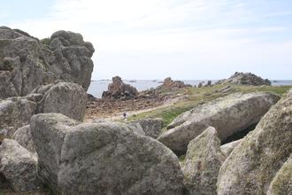 Coastal path