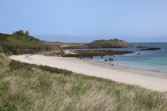 Little Bay