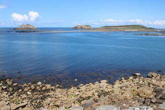 Round Island and St Helen's