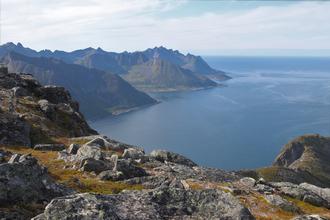 Mefjorden
