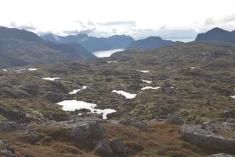 Many tarns