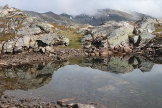 Reflections