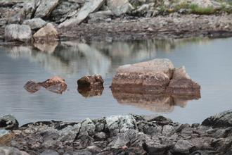 Reflections