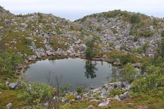 Tarn with reflections