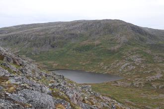 Tarn