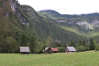 Voje valley