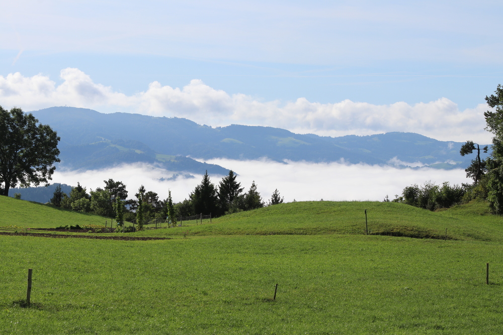 Mist in the valley