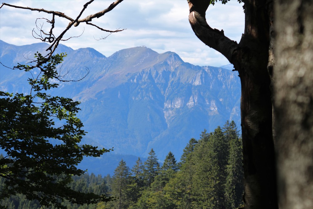 View on the way down