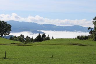 Mist in the valley