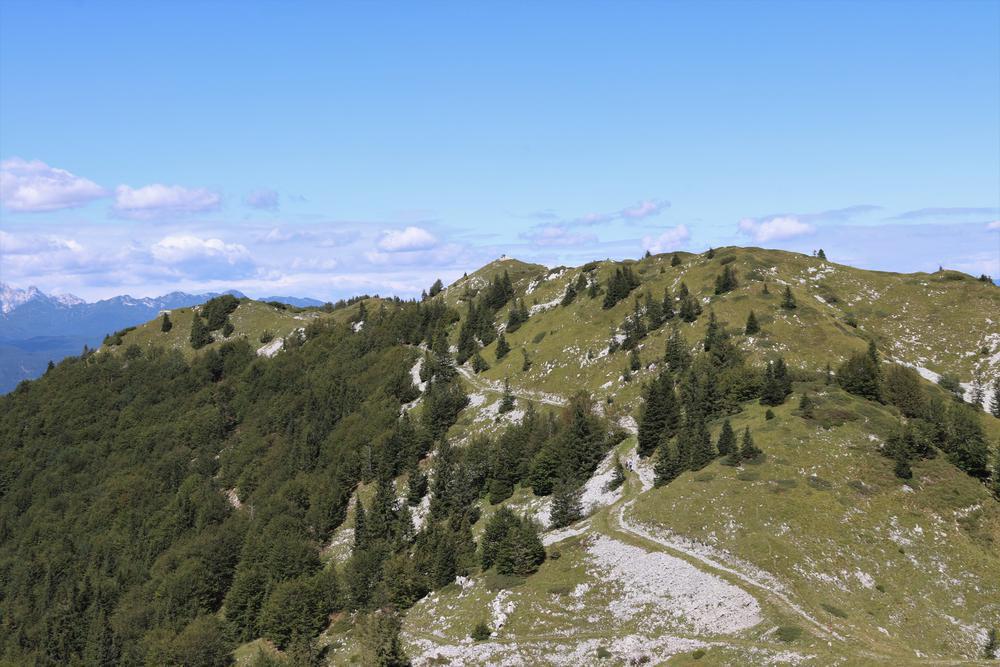 View on the way down
