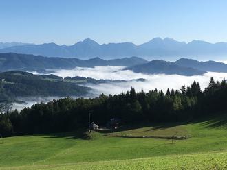 Mist in the valley